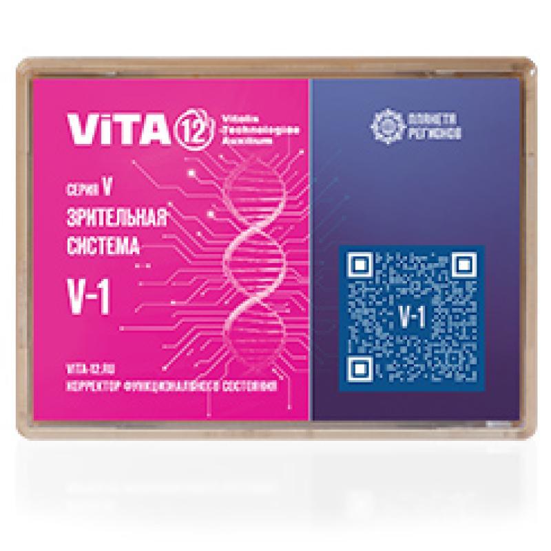 Візуальна система V-1 FSC