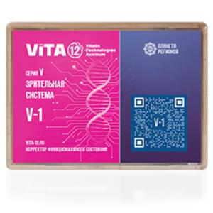 V-1 FSC Visuelles System