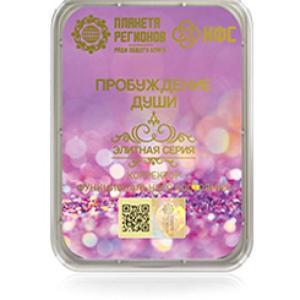 FSC Despertar del Alma