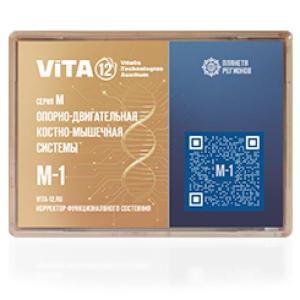 M-1 FSC Sistema muscoloscheletrico Sistema muscoloscheletrico